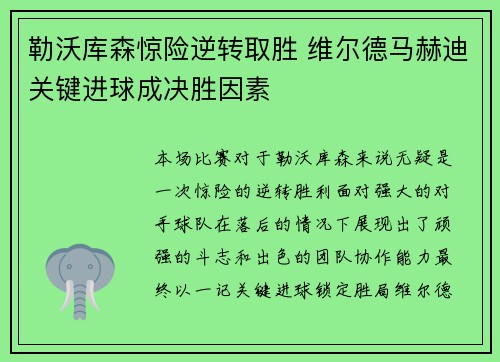 勒沃库森惊险逆转取胜 维尔德马赫迪关键进球成决胜因素